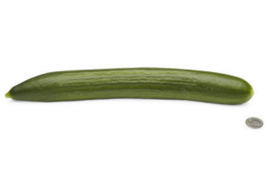 26 weeks - english cucumber